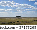 Africa_ Horizon 04 37175265