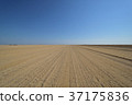 Africa_ Horizon 07 37175836