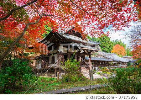 Autumn leaves of Kyoto Tennuji Temple 37175955