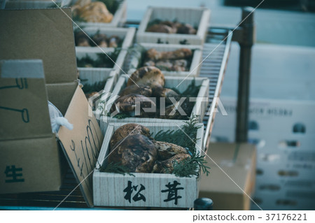 松茸蘑菇 食品 原料 37176221