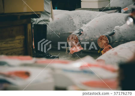 魚市 拍賣 鮪魚 37176270