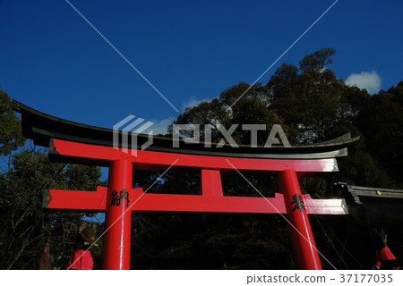 Inari Torii 37177035