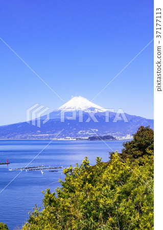Mount Fuji, Nishiuragi, Numazu City, Shizuoka Prefecture 37177113