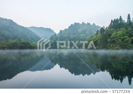 Atami lake morning Atami lake morning 37177259