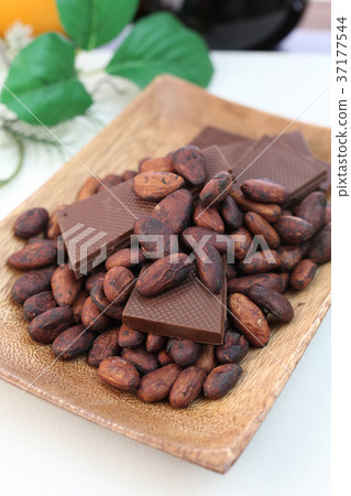 可可豆 可可豆 37177544