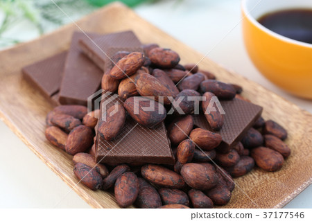 可可豆 可可豆 37177546