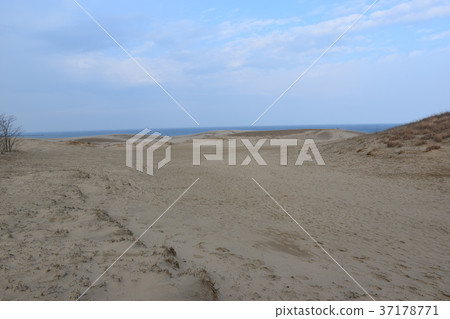 Tottori sand dunes Tottori sand dunes 37178771