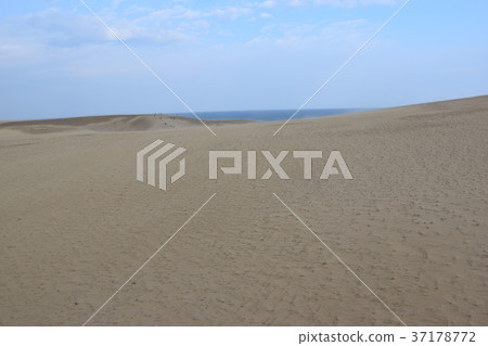Tottori sand dunes Tottori sand dunes 37178772