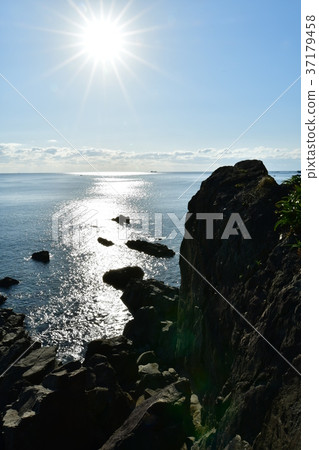 土佐灣和江東 土佐灣和江東 37179458