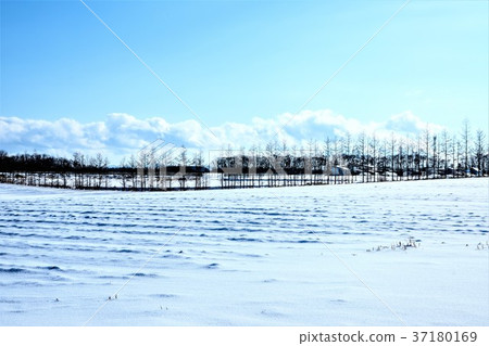 Field work landscape of winter 37180169