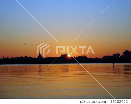First sunrise of 2018 Shosai Rinkai Park First sunrise of 2018 Shosai Rinkai Park 37182452