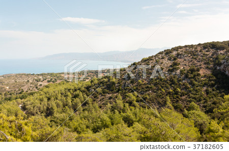 Wiew from hill at Akamas peninsula, Cyprus 37182605