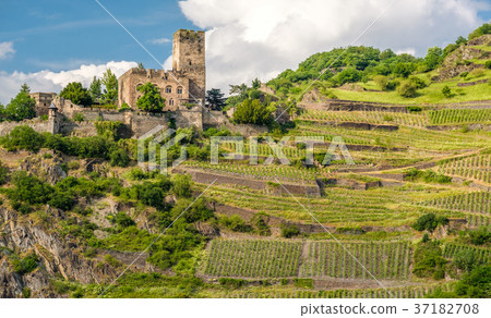 Gutenfels Castle  37182708
