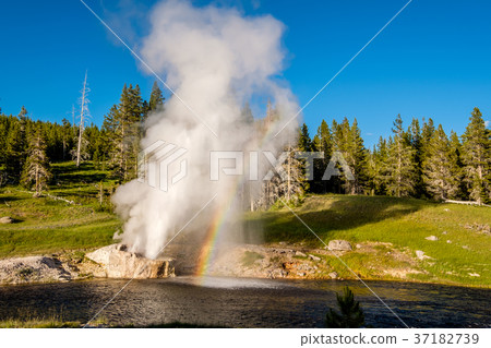 Riverside Geyser in Yellowstone National Park 37182739