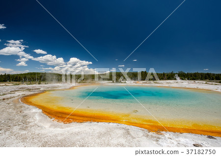 Hot thermal spring in Yellowstone 37182750