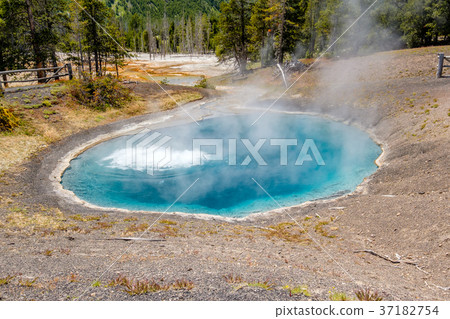 Hot thermal spring in Yellowstone 37182754