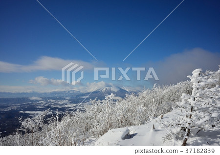 在冬天從Himekamiyama看到的岩手山 在冬天從Himekamiyama看到的岩手山 37182839