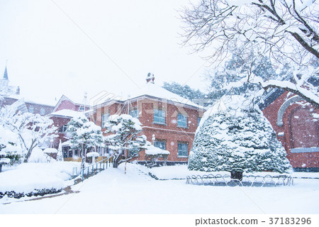冬季特拉普西斯坦修道院（函館） 37183296