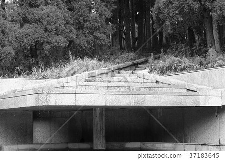 級聯 級聯 37183645