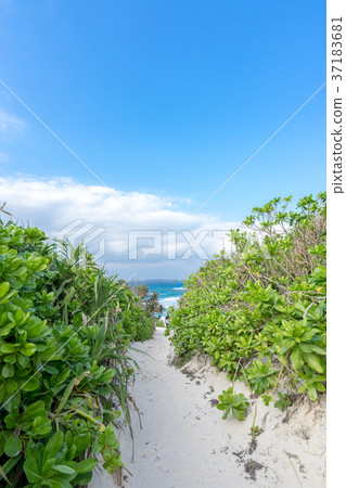 Road to Sunayama Beach 37183681