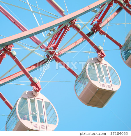 Ferris wheel  37184063