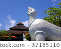Bouquett 1 37185110