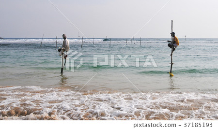 Stilt Fishermen of Sri Lanka Stilt Fishermen of Sri Lanka 37185193
