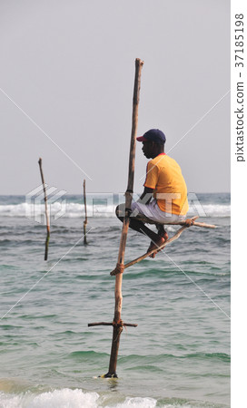 Stilt Fishermen of Sri Lanka Stilt Fishermen of Sri Lanka 37185198
