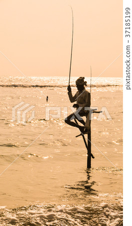 Stilt Fishermen of Sri Lanka Stilt Fishermen of Sri Lanka 37185199