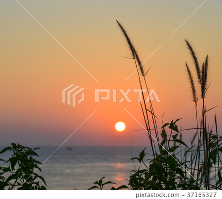 Sunset on the ocean in Southern Vietnam Sunset on the ocean in Southern Vietnam 37185327