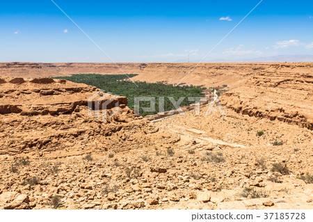 Cultivated fields and palms in Errachidia Morocco  37185728