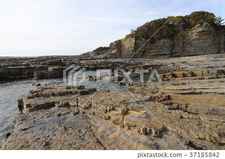 Shihara Coast Senjojiki 37185842