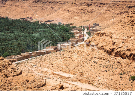 Cultivated fields and palms in Errachidia Morocco 37185857