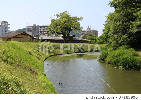 Dogo Yuzuki Castle 37185900