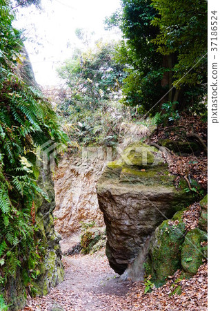 Kamakura Naegoshi Cut-through 37186524