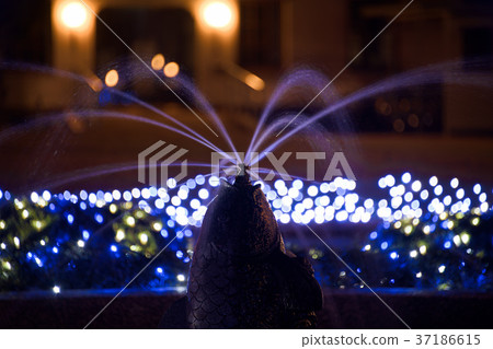 Toyosato Elementary School Illumination 37186615