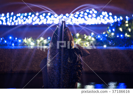 豐鄉小學照明 豐鄉小學照明 37186616