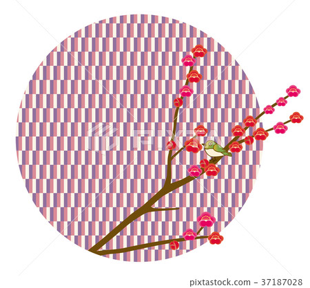 Background / icon of image of rising spring | Image of Japanese style / spring Ume to Uguisu New spring, section break | Graphic material 37187028