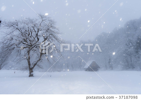 Shirakawago 2281 Shirakawago 2281 37187098