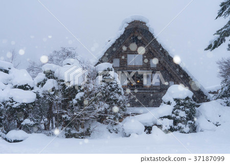 Shirakawago 2369 37187099