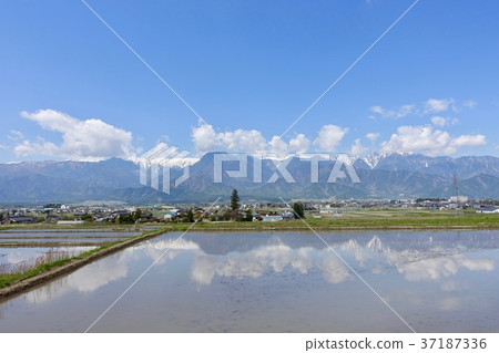 水淹的稻田和北阿爾卑斯山 37187336