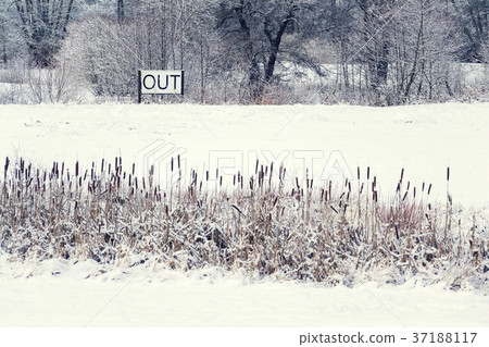 Out sing in snowy landscape, Hello spring concept Out sing in snowy landscape, Hello spring concept 37188117
