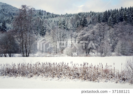 Out sing in snowy landscape, Hello spring concept Out sing in snowy landscape, Hello spring concept 37188121