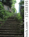 Stairway of park 37188395