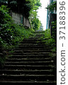Stairway of park 37188396