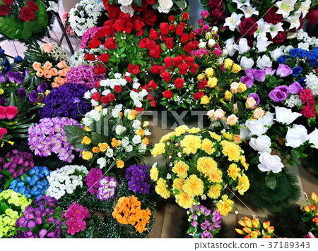 Fake plastic flowers Fake plastic flowers 37189343