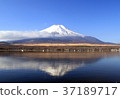 從山中湖岸邊的白雪皚皚的富士山 37189717