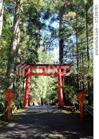 箱根神社的鳥居從接近 箱根神社的鳥居從接近 37189765