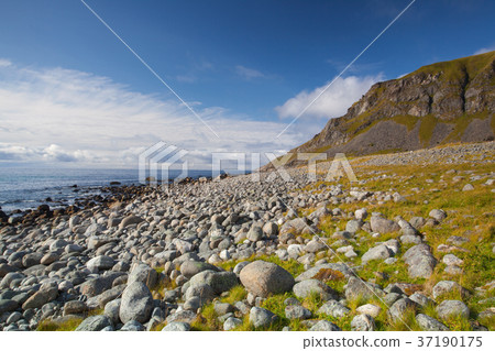 On the Lofoten islands, Norway On the Lofoten islands, Norway 37190175