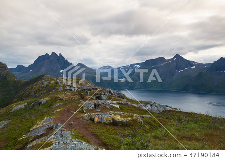 View from the Segla mountain, Norway 37190184